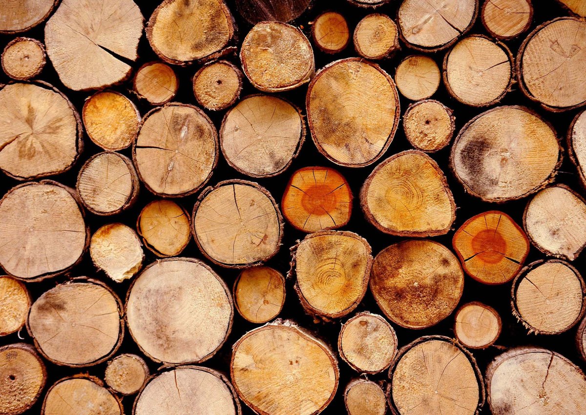 Wood Logs