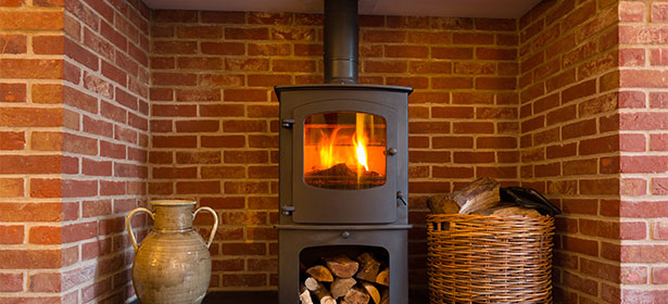 Free Standing Stove with wood underneath